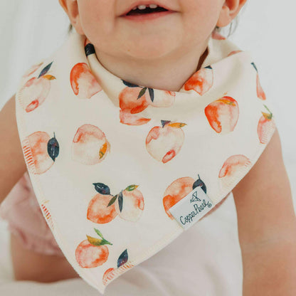 4 Pack Baby Bandana Bibs - Morgan