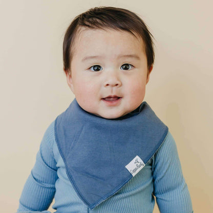 4 Pack Baby Bandana Bibs - Oxford