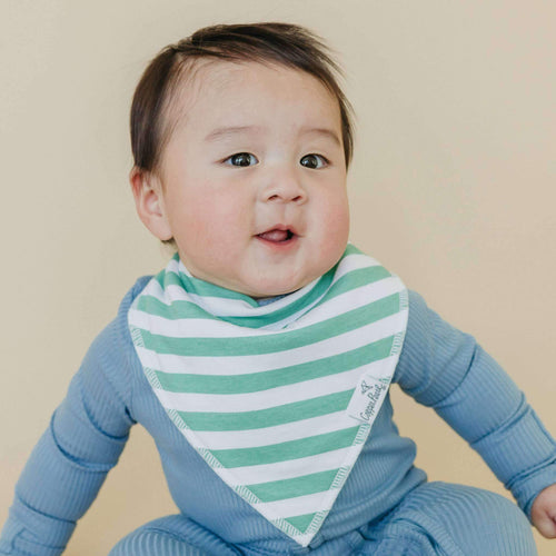 4 Pack Baby Bandana Bibs - Oxford