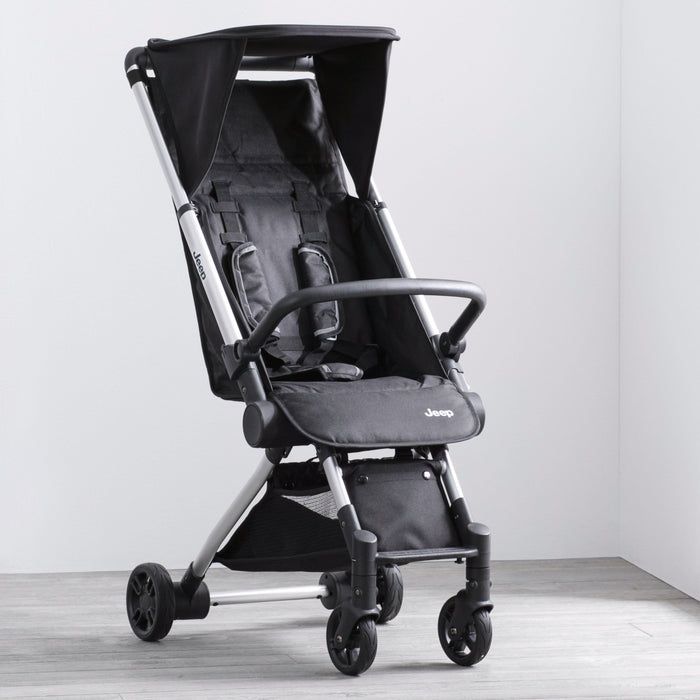 Jet Black (2095)