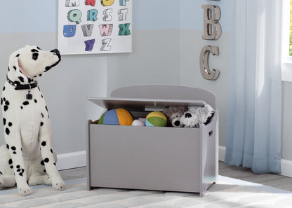Delta Children Grey (026) MySize Deluxe Toy Box, Room, a0a
